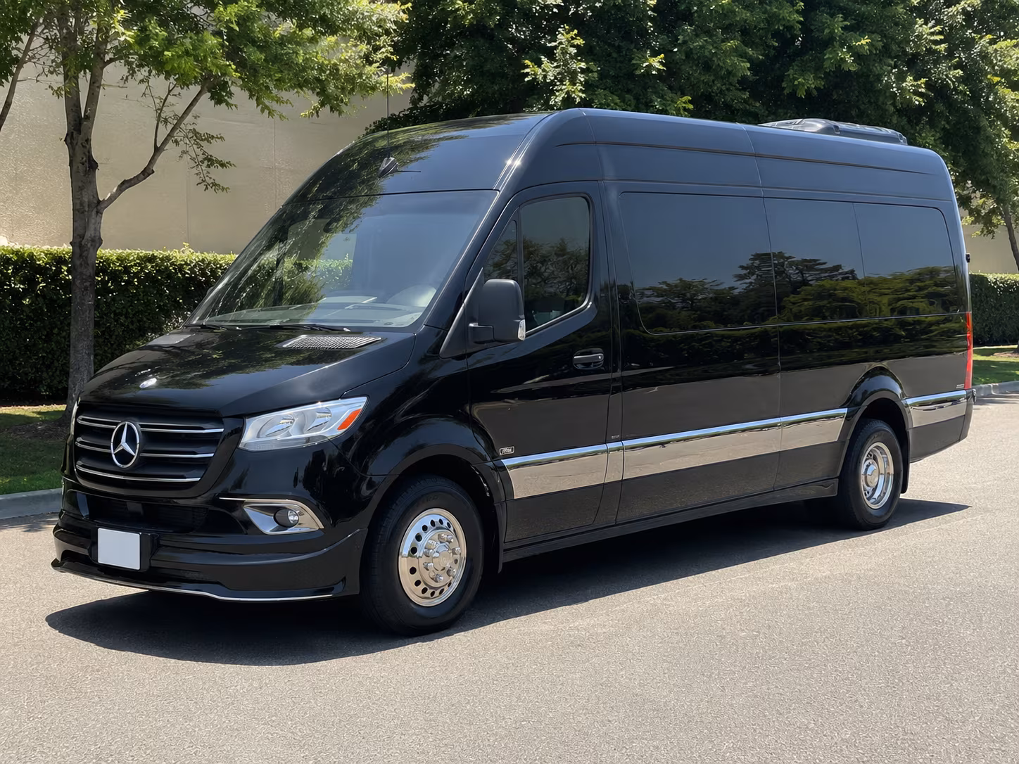 14 Passenger Sprinter Limo Exterior